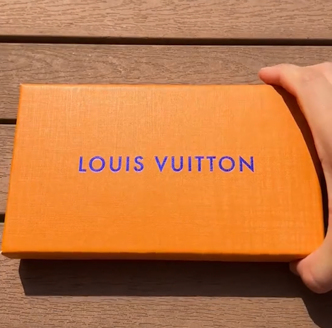 Luis Vuitton anti-choc Iphone